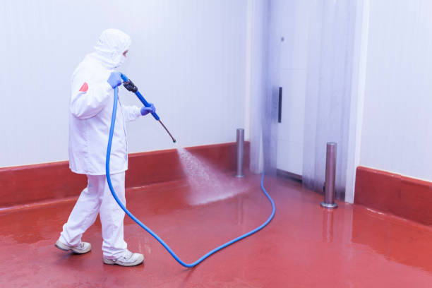 Best Soft Washing  in Newton, NJ