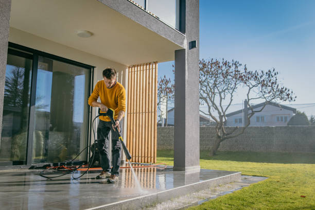 Best Roof Washing  in Newton, NJ